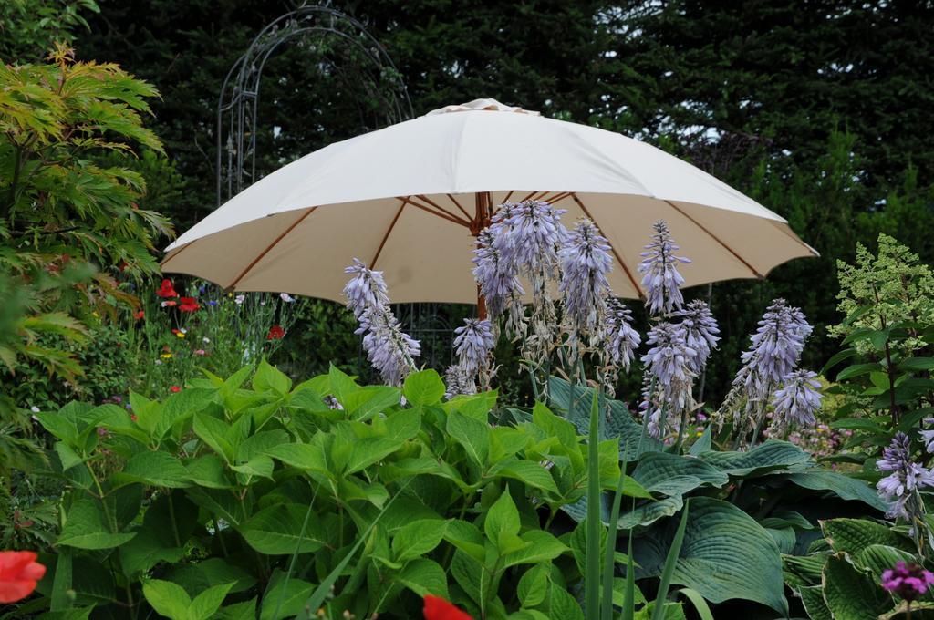 Sulamith Ferienhaus Mit Garten Sankt Kathrein am Offenegg Exterior foto