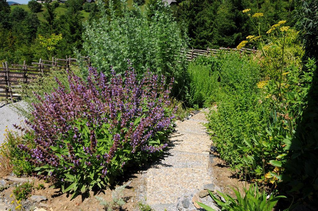 Sulamith Ferienhaus Mit Garten Sankt Kathrein am Offenegg Exterior foto