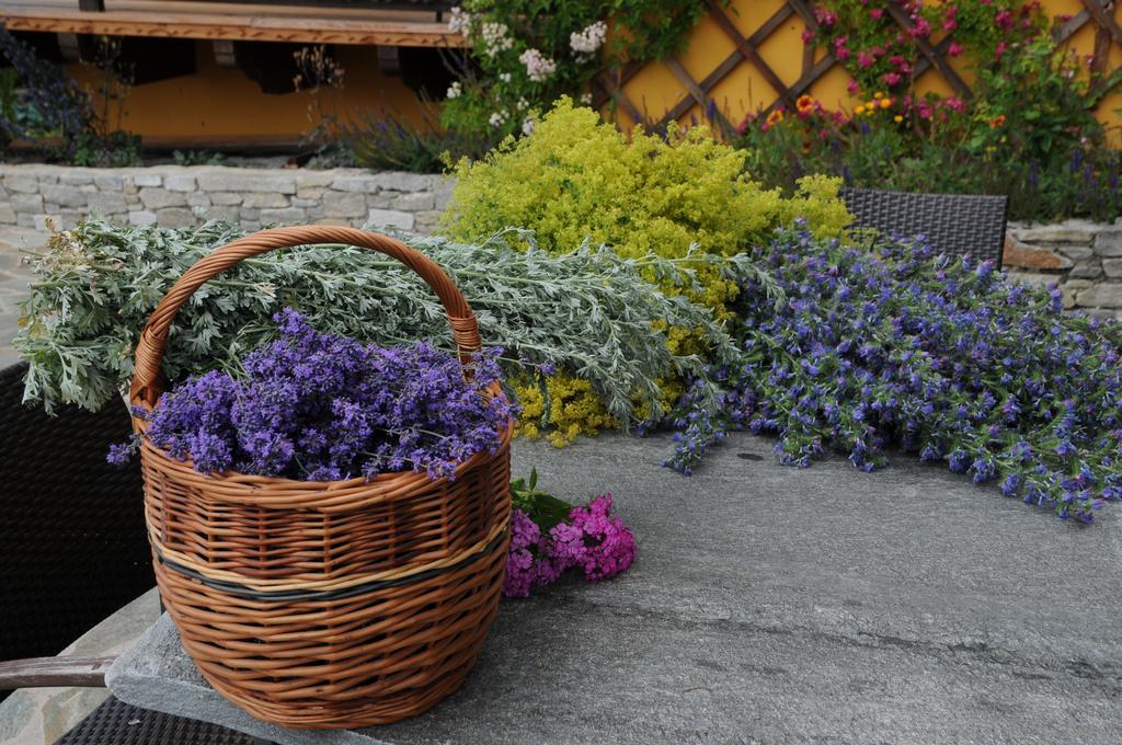 Sulamith Ferienhaus Mit Garten Sankt Kathrein am Offenegg Exterior foto