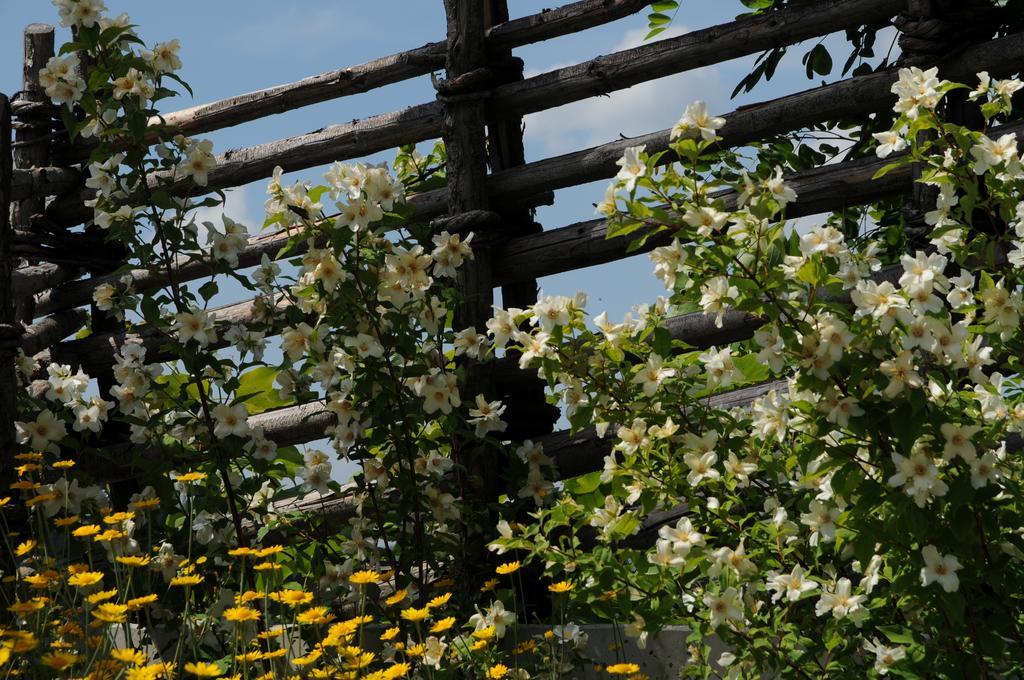 Sulamith Ferienhaus Mit Garten Sankt Kathrein am Offenegg Exterior foto