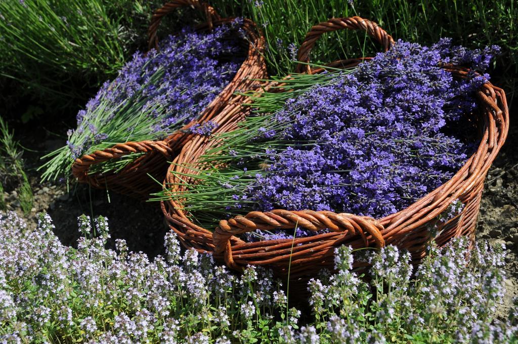 Sulamith Ferienhaus Mit Garten Sankt Kathrein am Offenegg Exterior foto